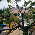 Natural Himara