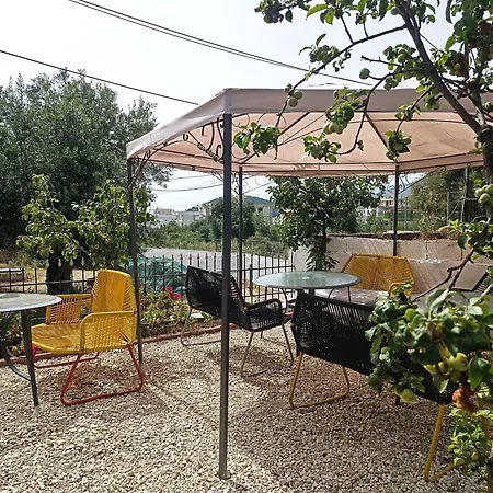 بيت شباب Natural